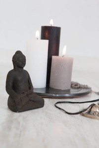 Galerie Bild 7